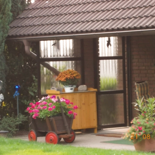 windschutz_03